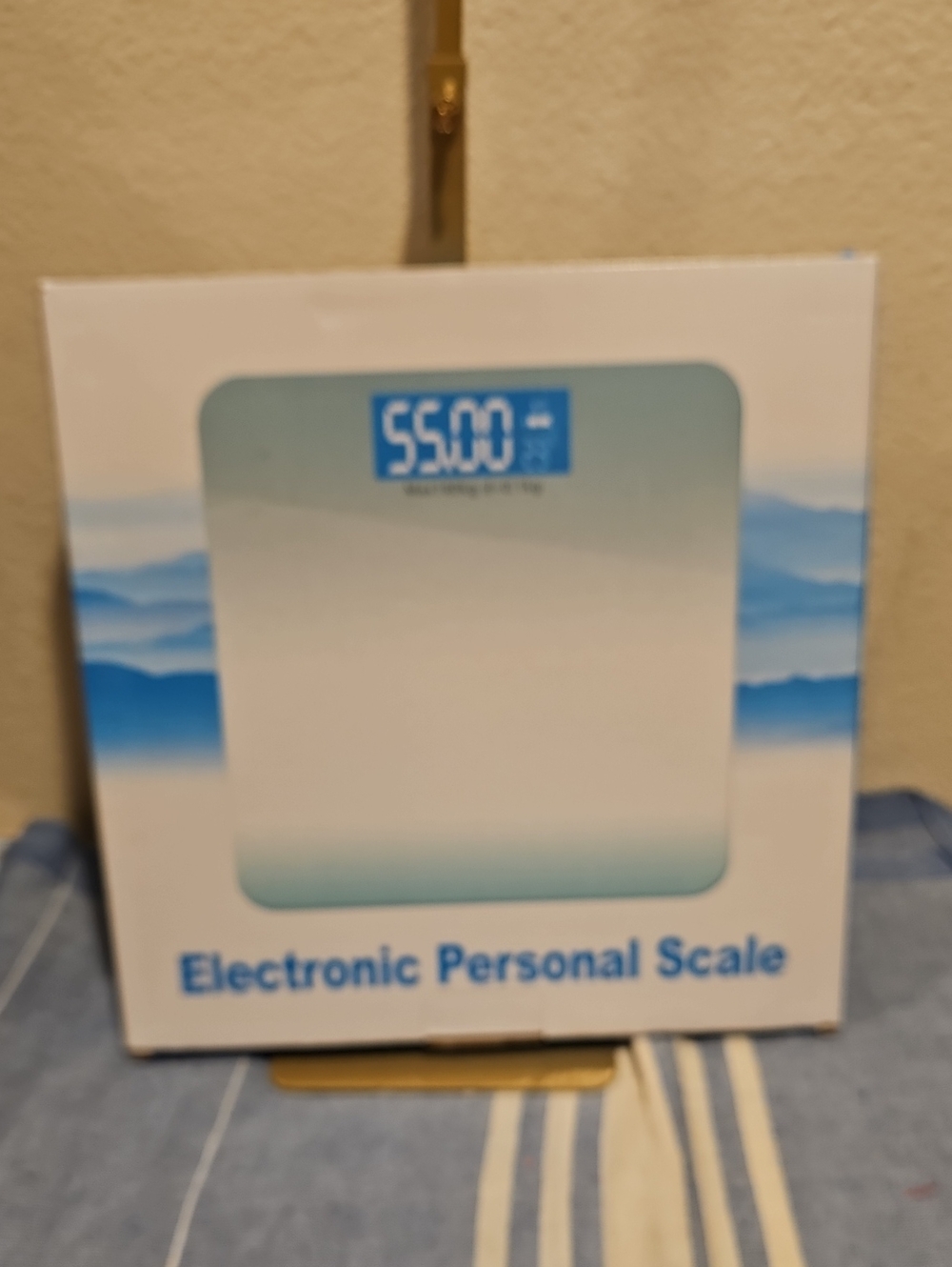 Electronic Personal Scale